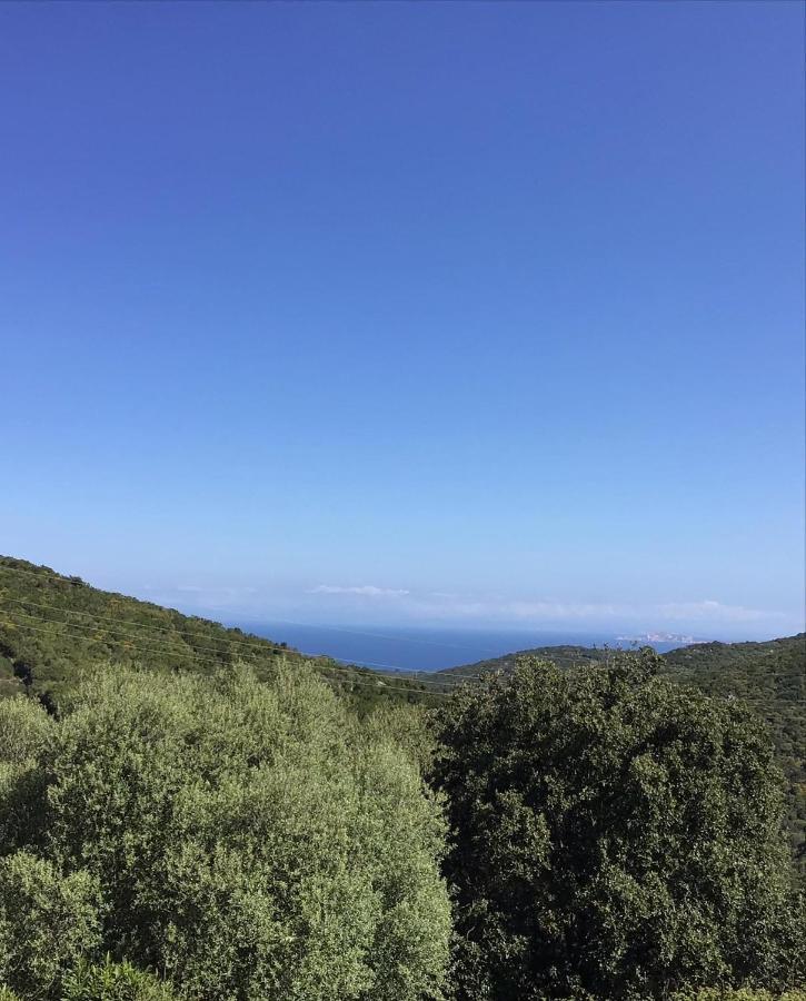 Agriturismo Lu Stabbiacciu アリエントゥ エクステリア 写真